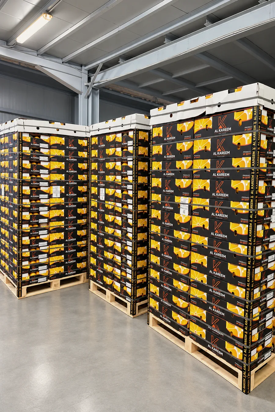 Alkareem pallets in the cold store
