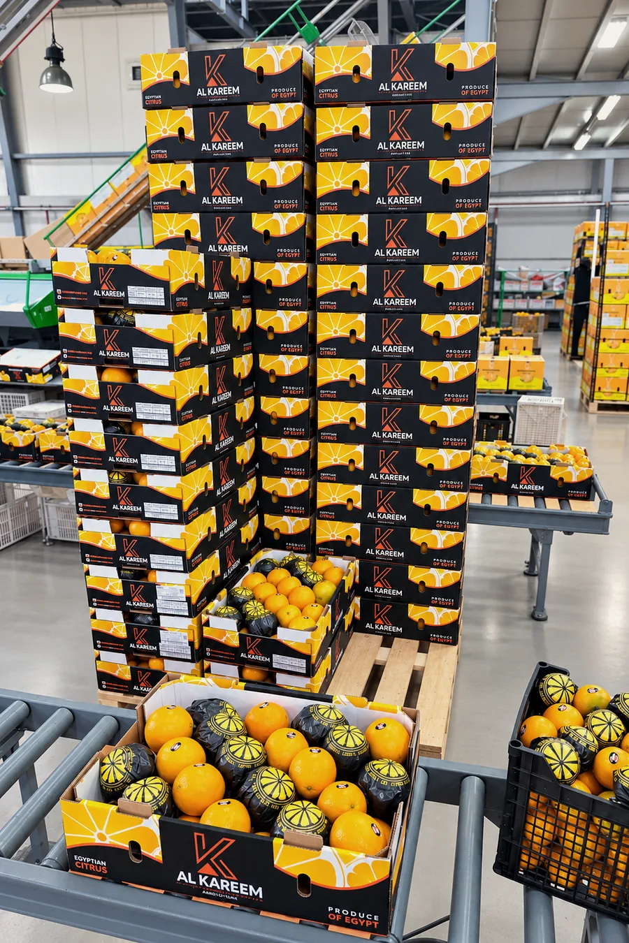 Citrus cartons stacked at the packhouse