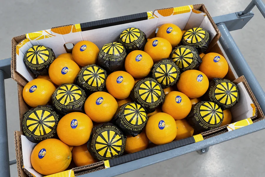 Wrapped oranges in a carton